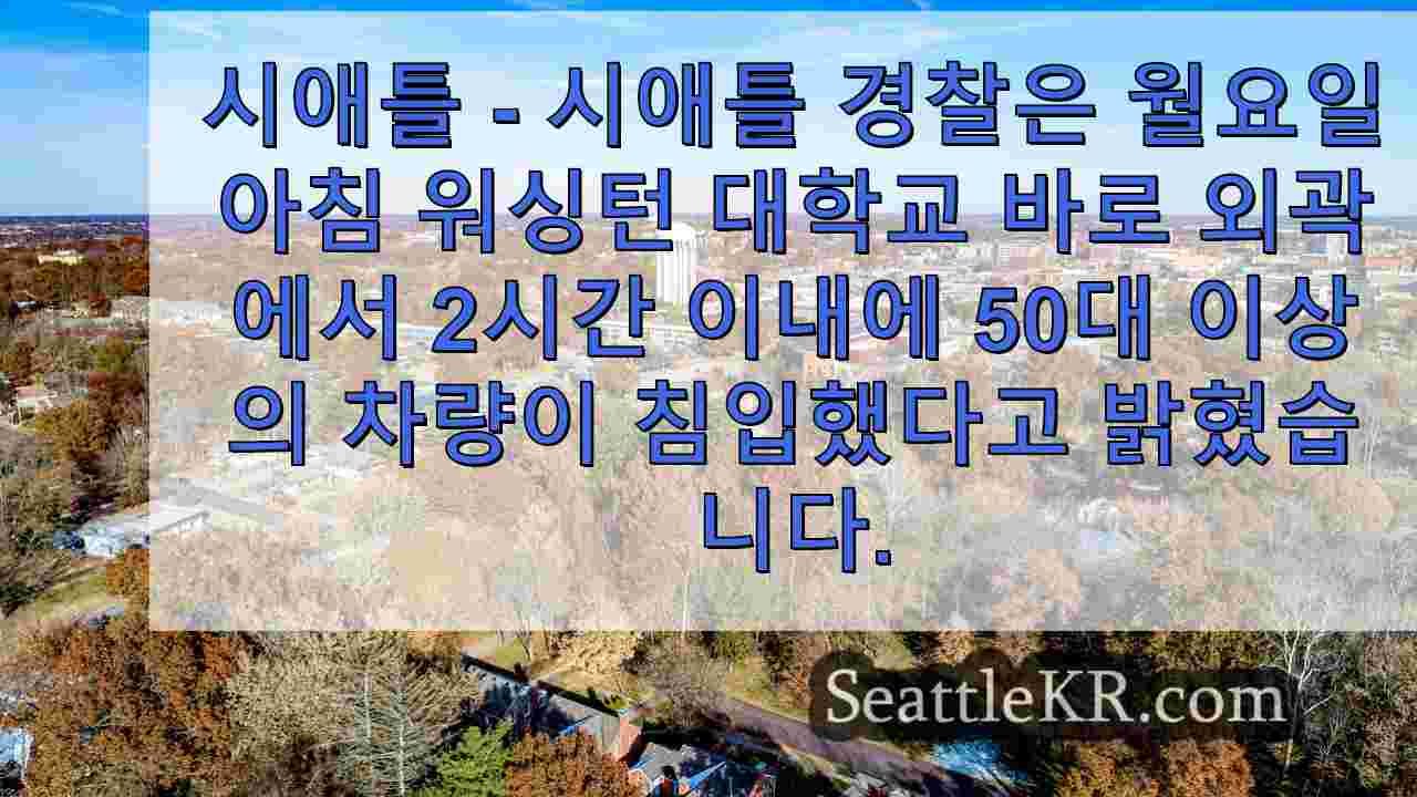 시애틀 뉴스 SeattleKR