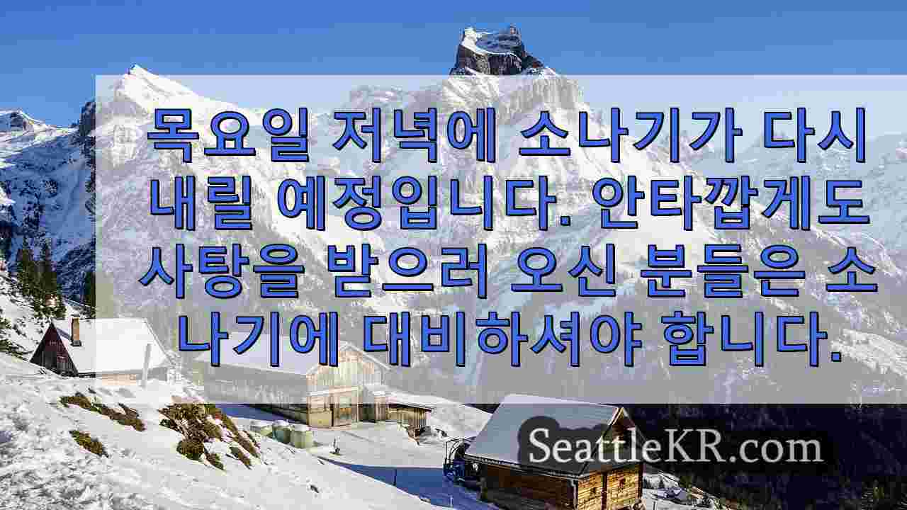 시애틀 뉴스 SeattleKR