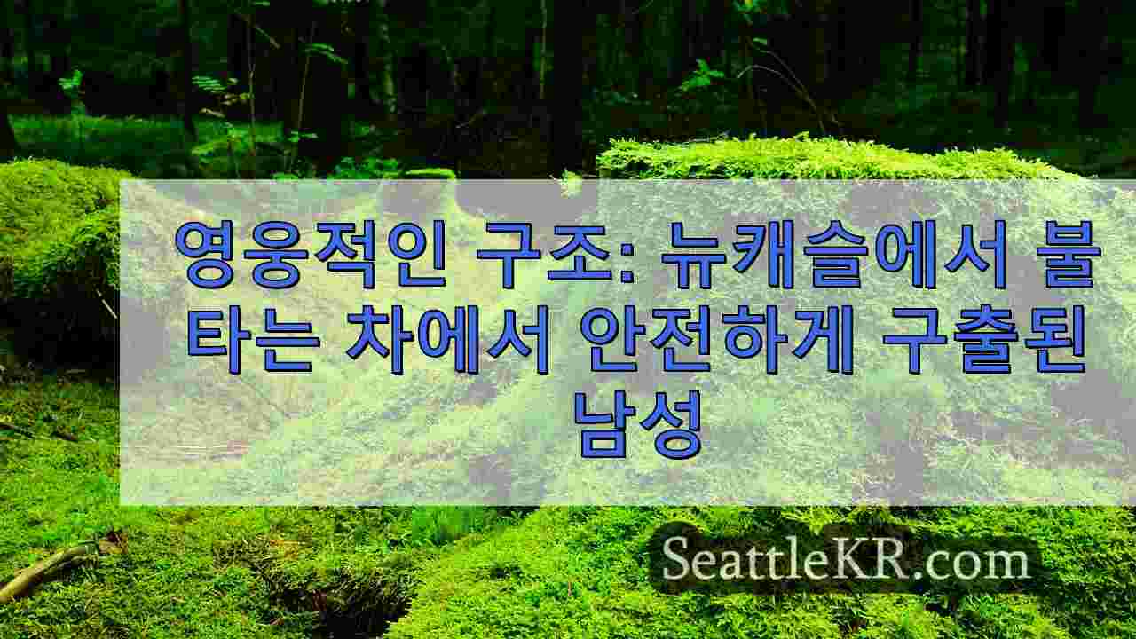 시애틀 뉴스 SeattleKR