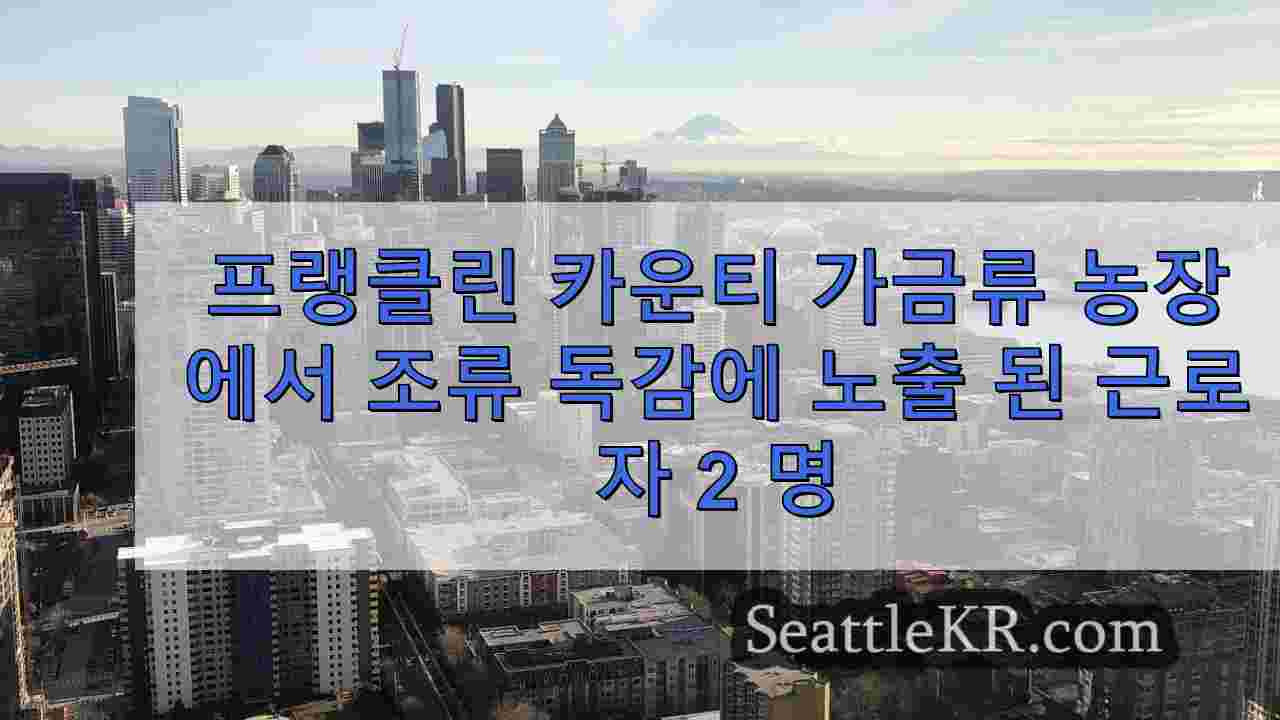 시애틀 뉴스 SeattleKR