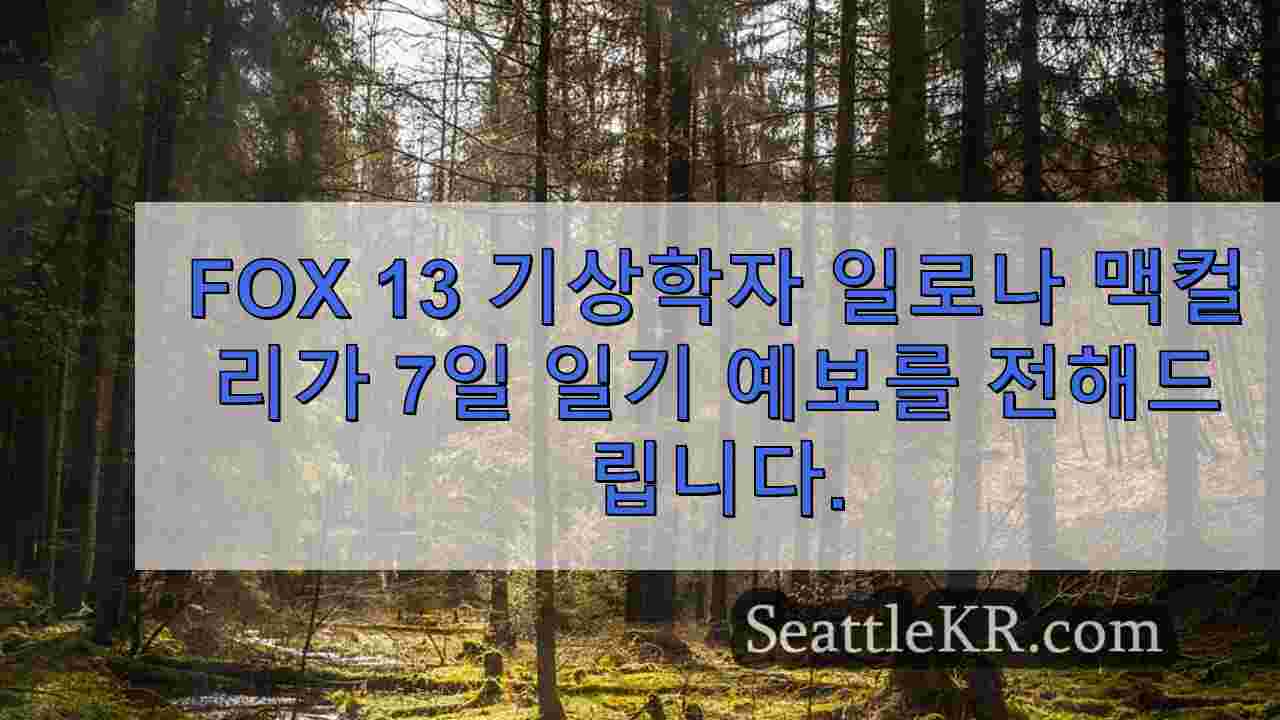 시애틀 뉴스 SeattleKR