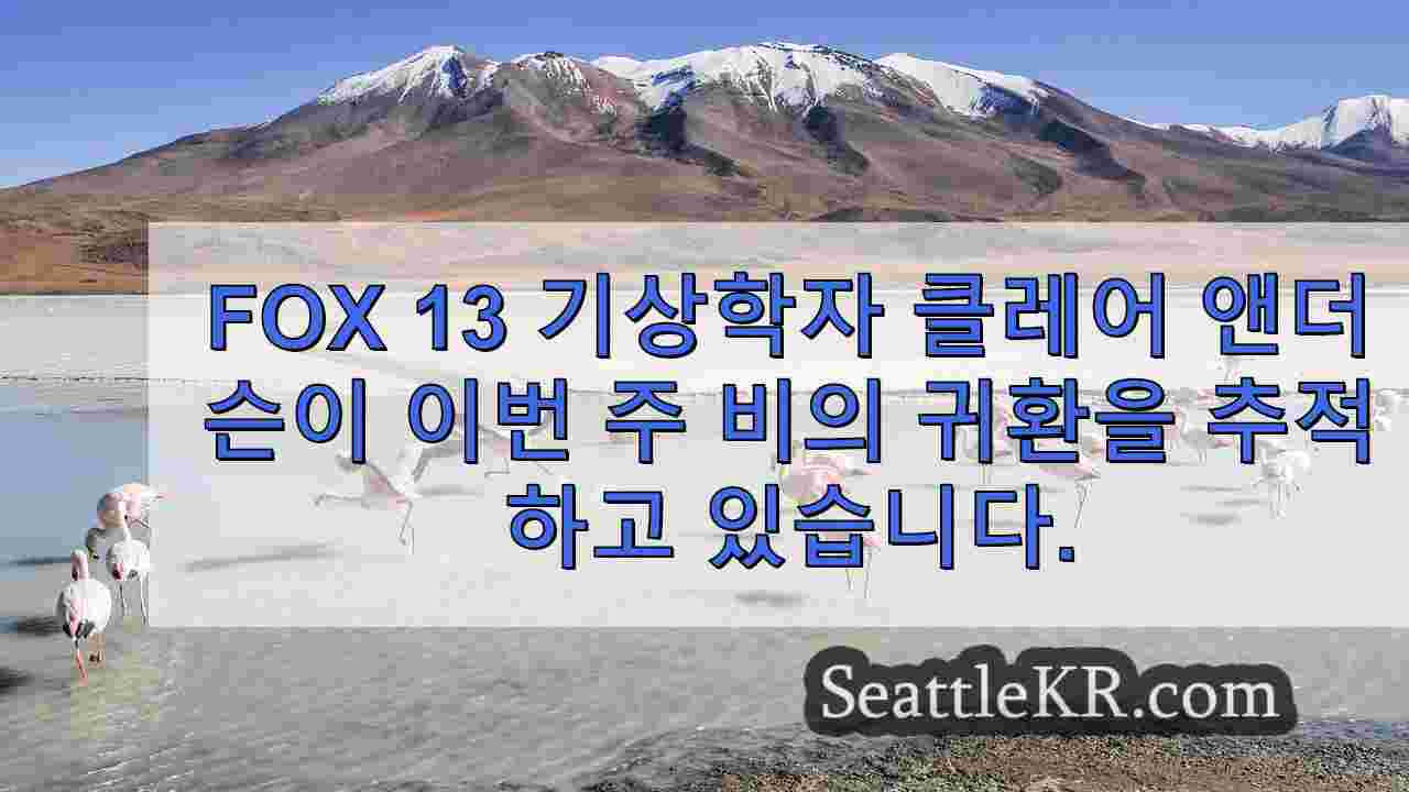 시애틀 뉴스 SeattleKR