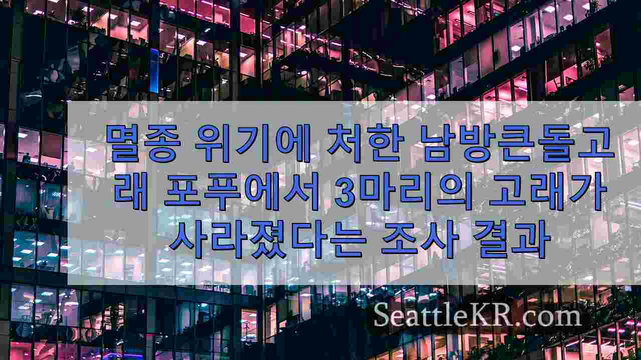 시애틀 뉴스 SeattleKR