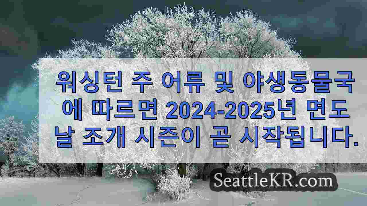 시애틀 뉴스 SeattleKR