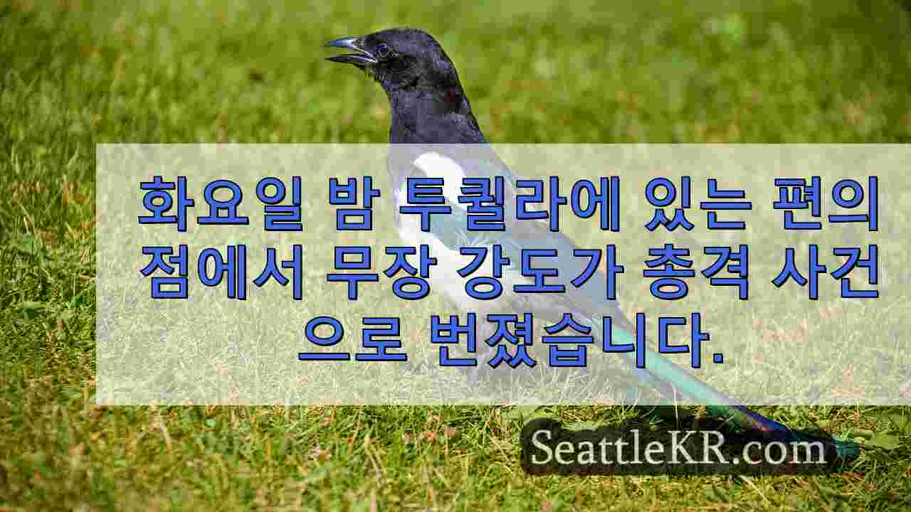 시애틀 뉴스 SeattleKR
