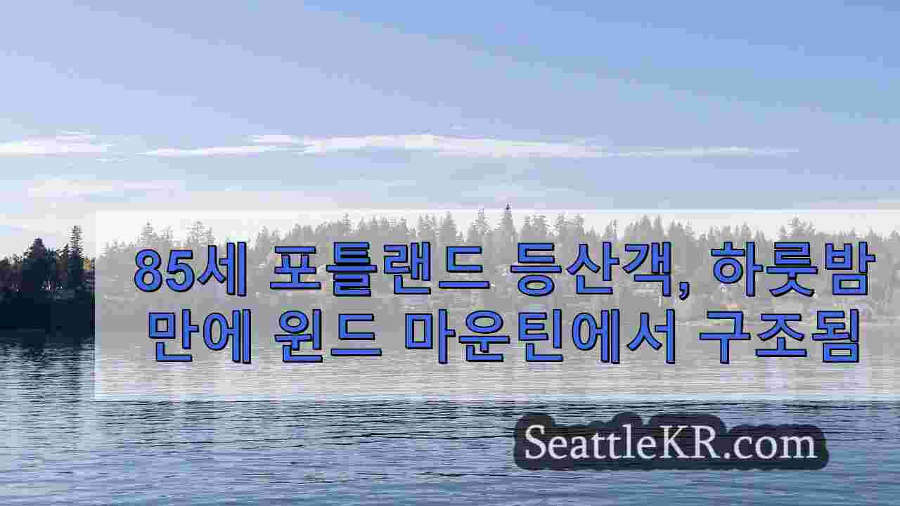 시애틀 뉴스 SeattleKR