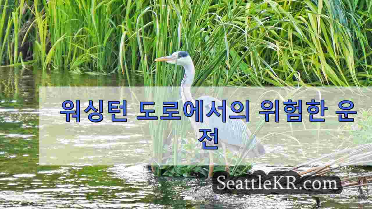 시애틀 뉴스 SeattleKR