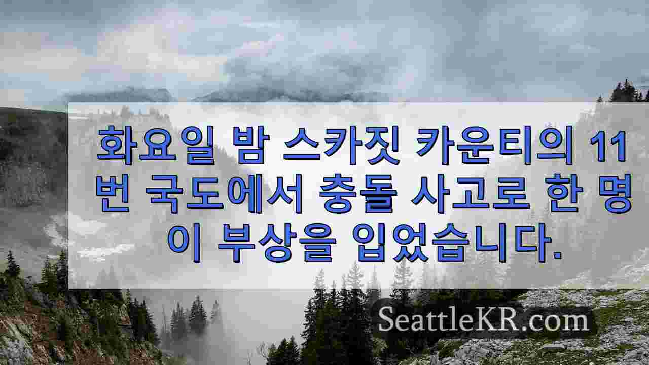 시애틀 뉴스 SeattleKR