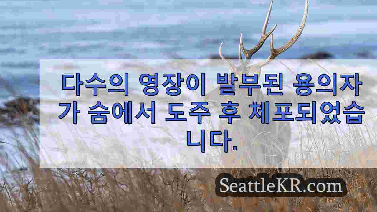 시애틀 뉴스 SeattleKR