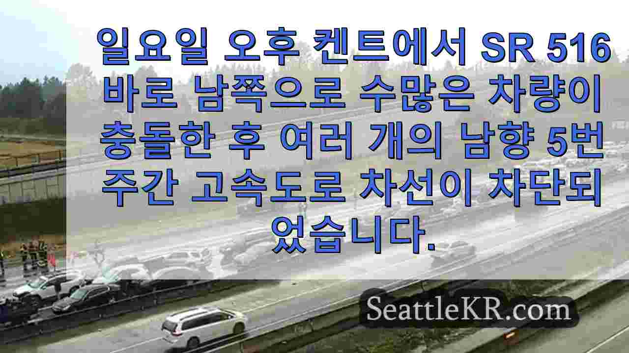 시애틀 뉴스 SeattleKR