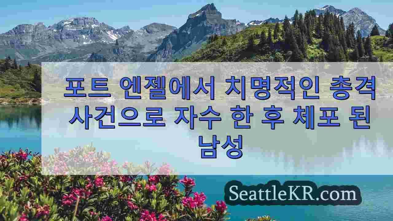 시애틀 뉴스 SeattleKR