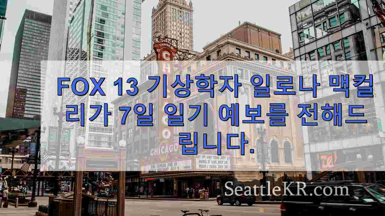 시애틀 뉴스 SeattleKR