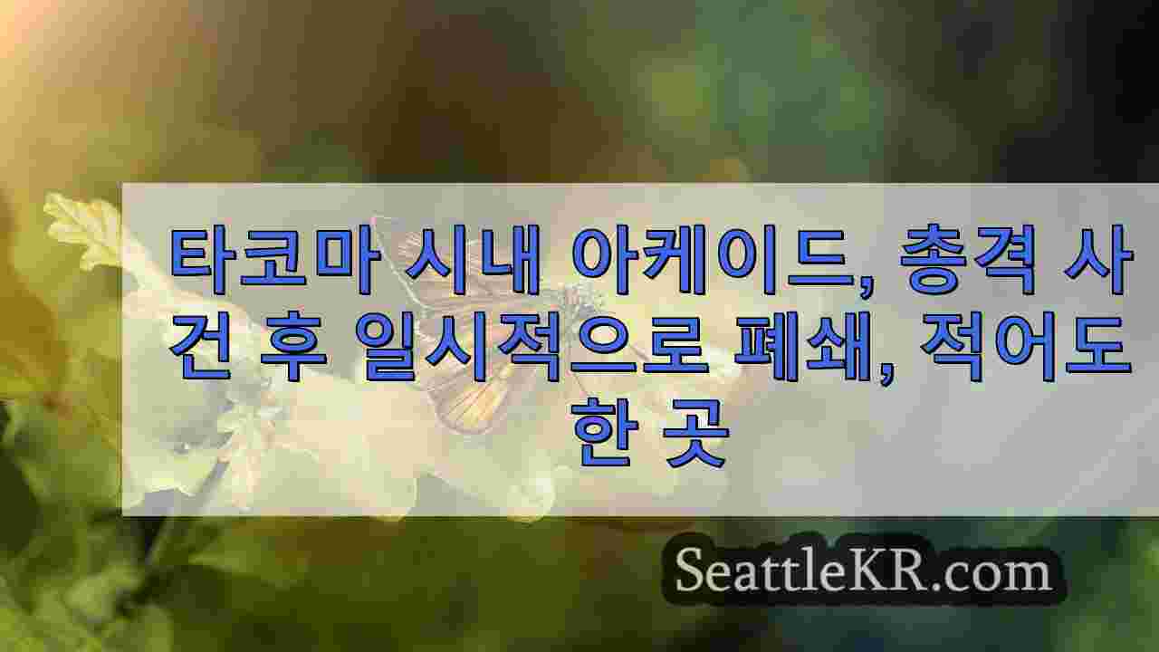 시애틀 뉴스 SeattleKR
