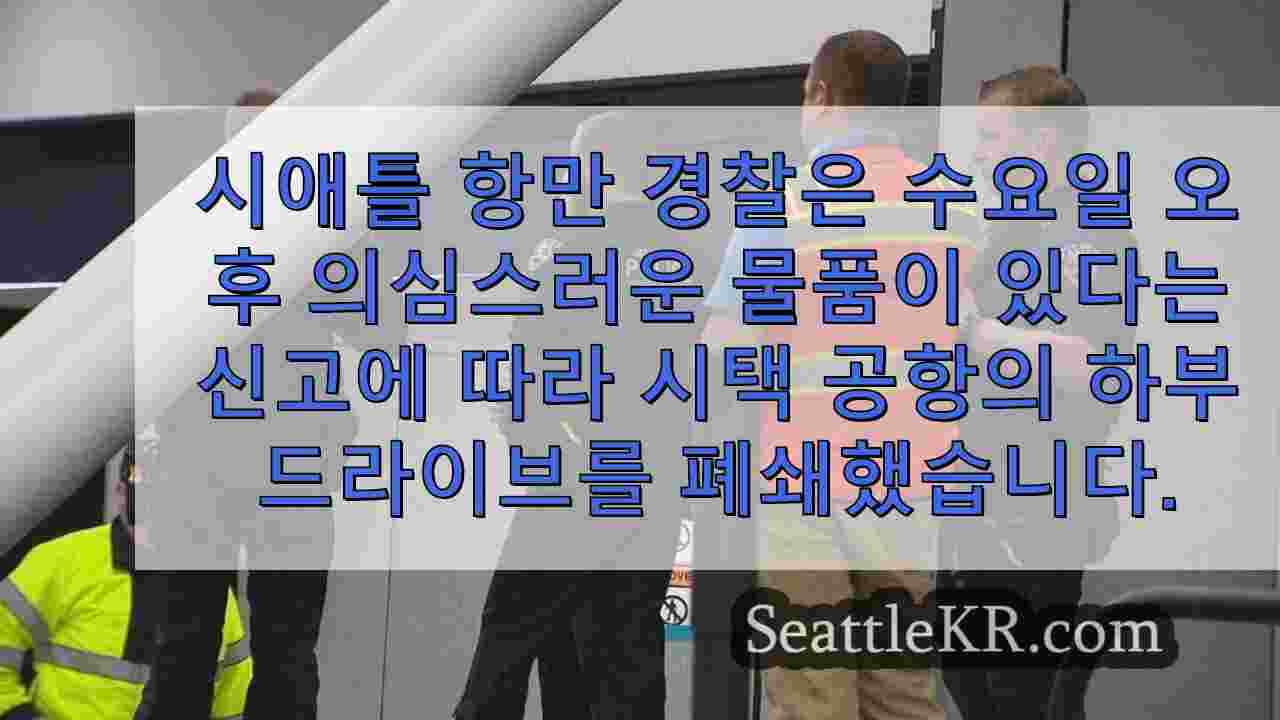 '의심스러운 물건'으로 인해 경찰의 강력한 대응, 시택 공항 지연