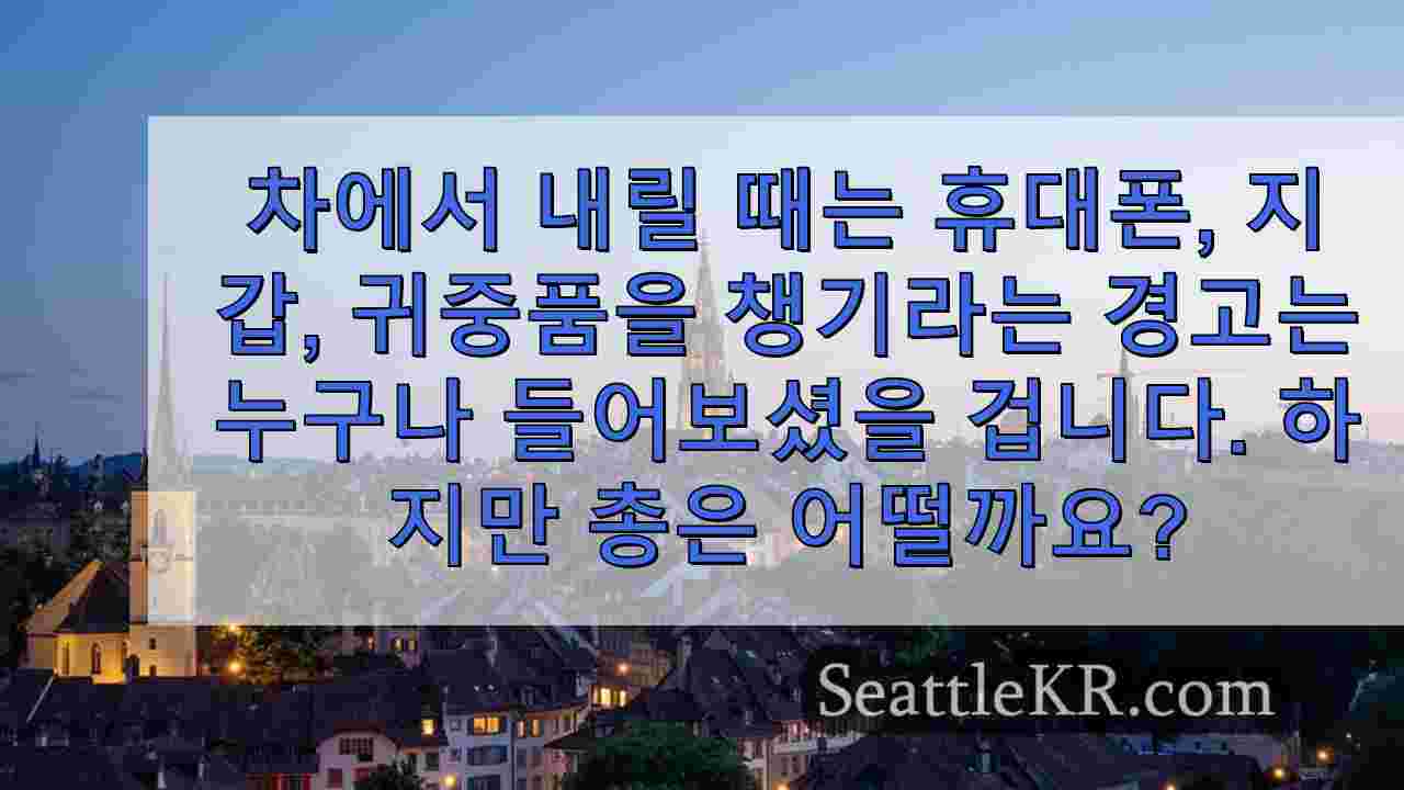시애틀 뉴스 SeattleKR