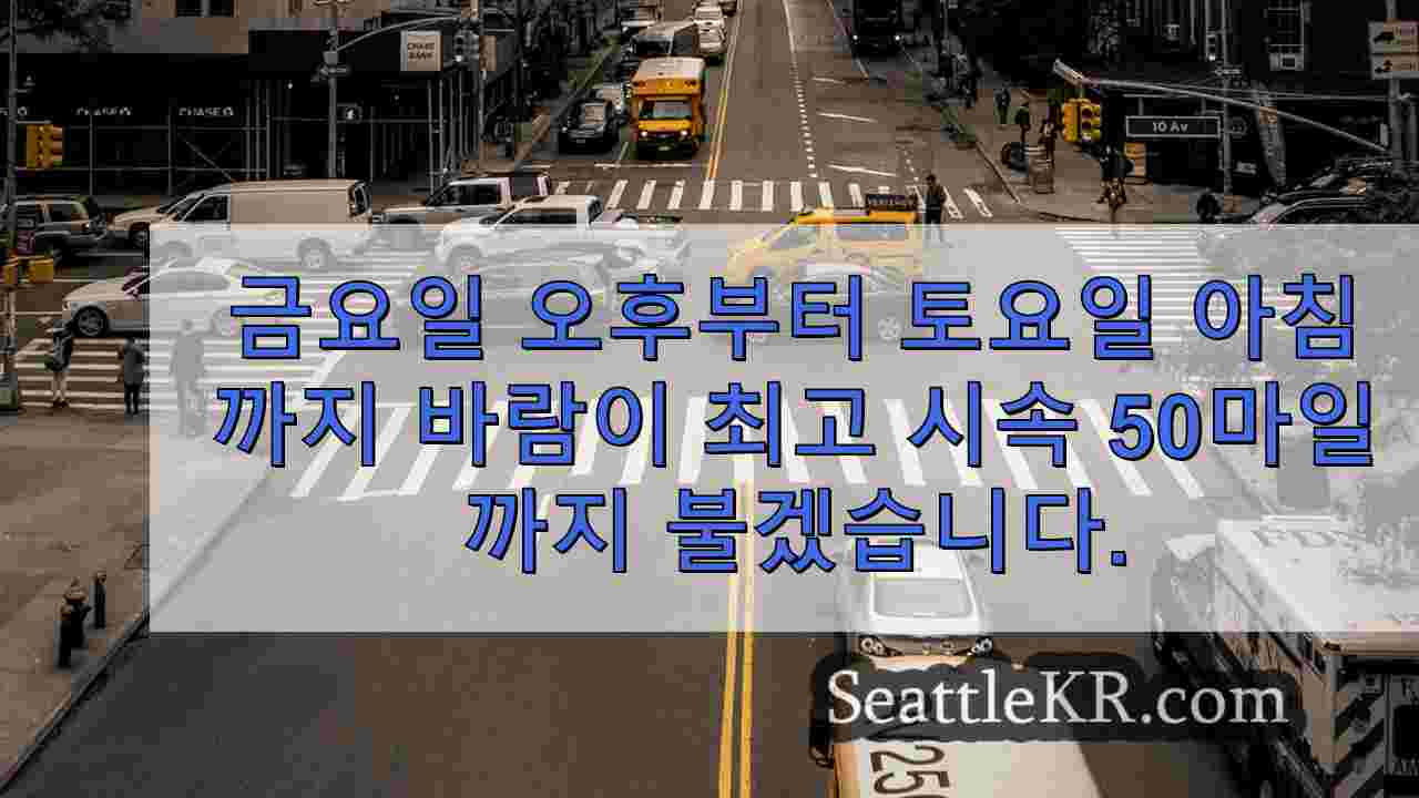 시애틀 뉴스 SeattleKR
