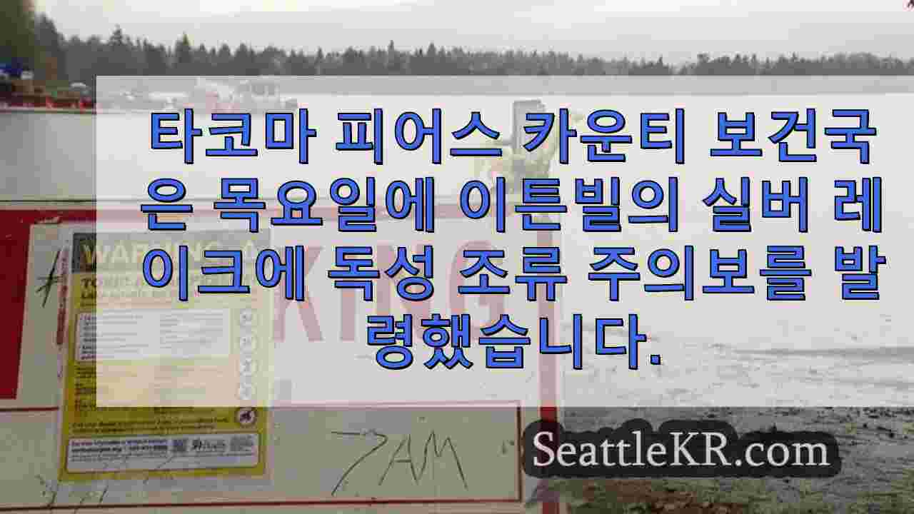 시애틀 뉴스 SeattleKR