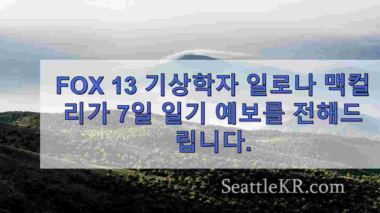 시애틀 뉴스 SeattleKR