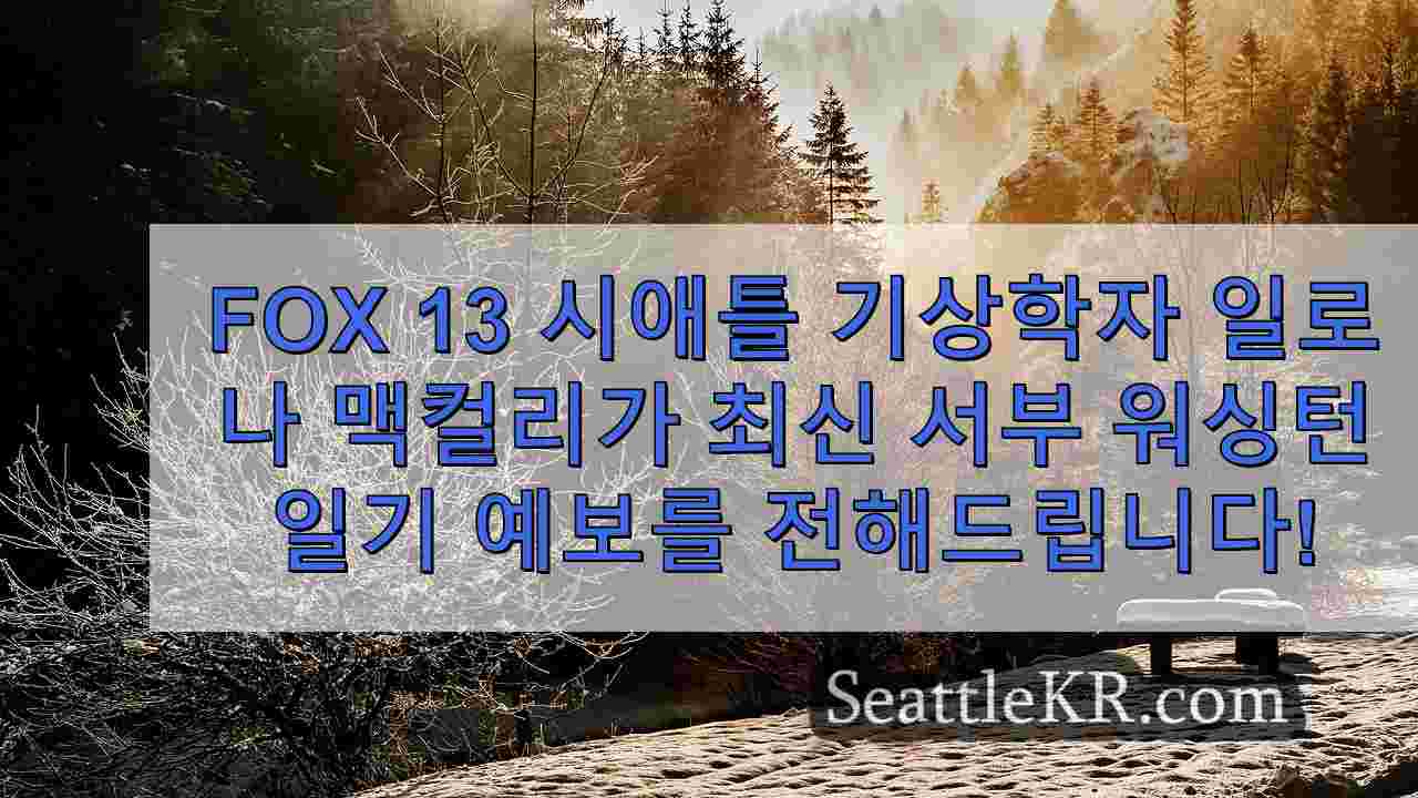 시애틀 뉴스 SeattleKR