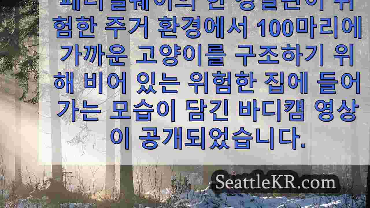 시애틀 뉴스 SeattleKR