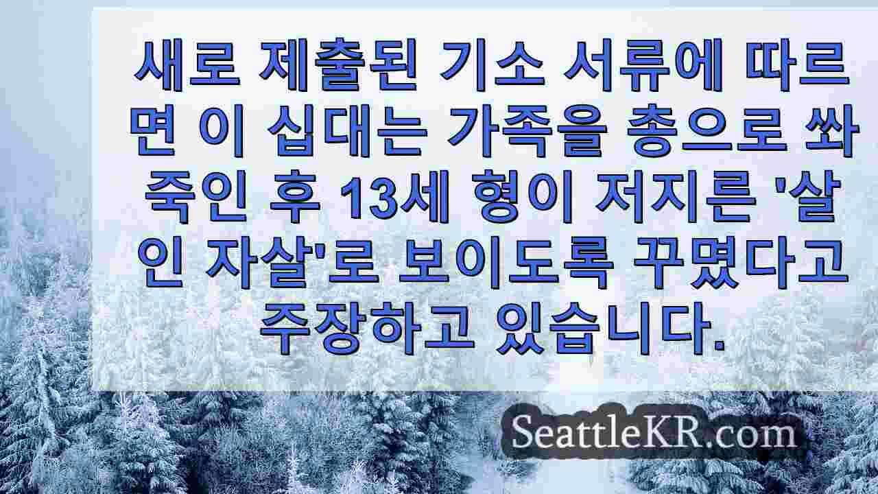 시애틀 뉴스 SeattleKR