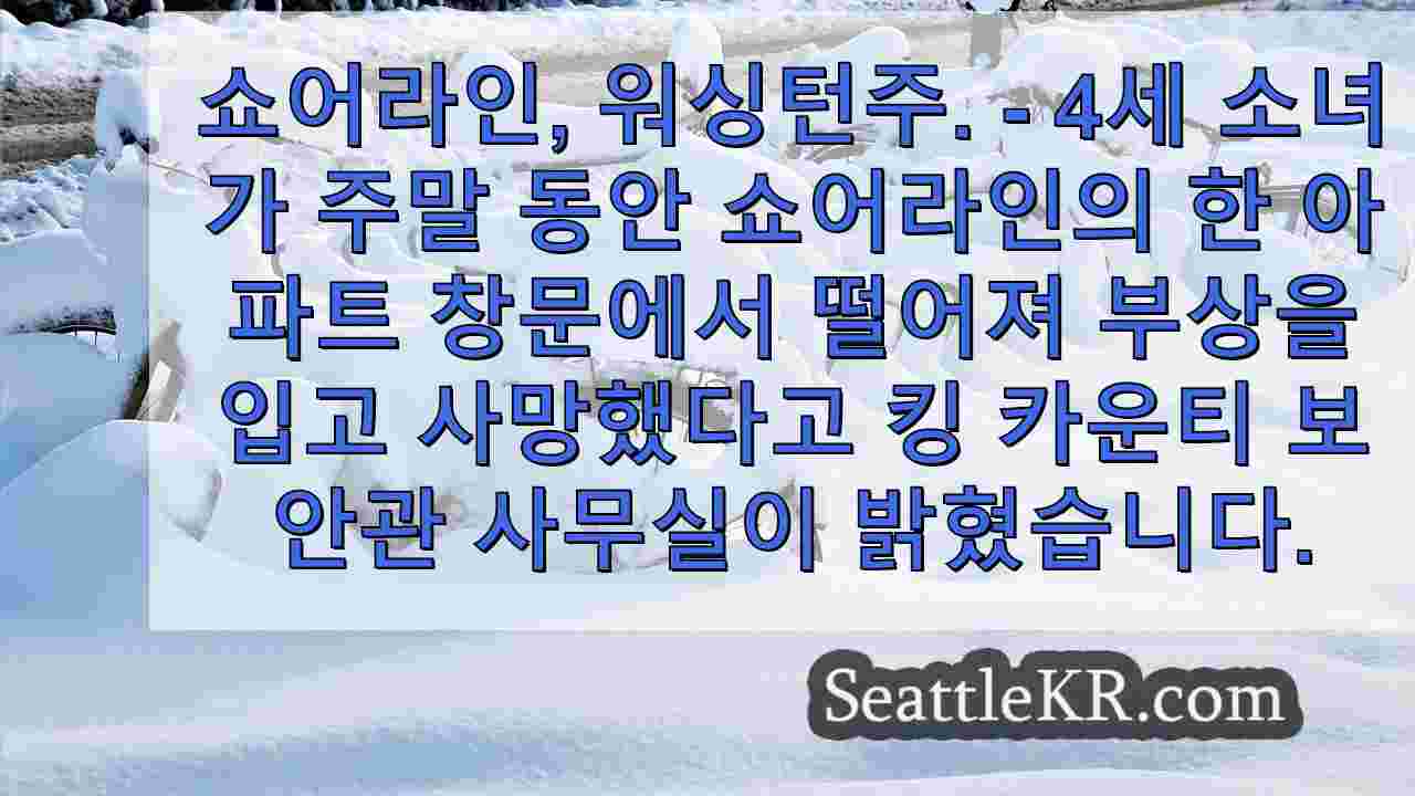 시애틀 뉴스 SeattleKR