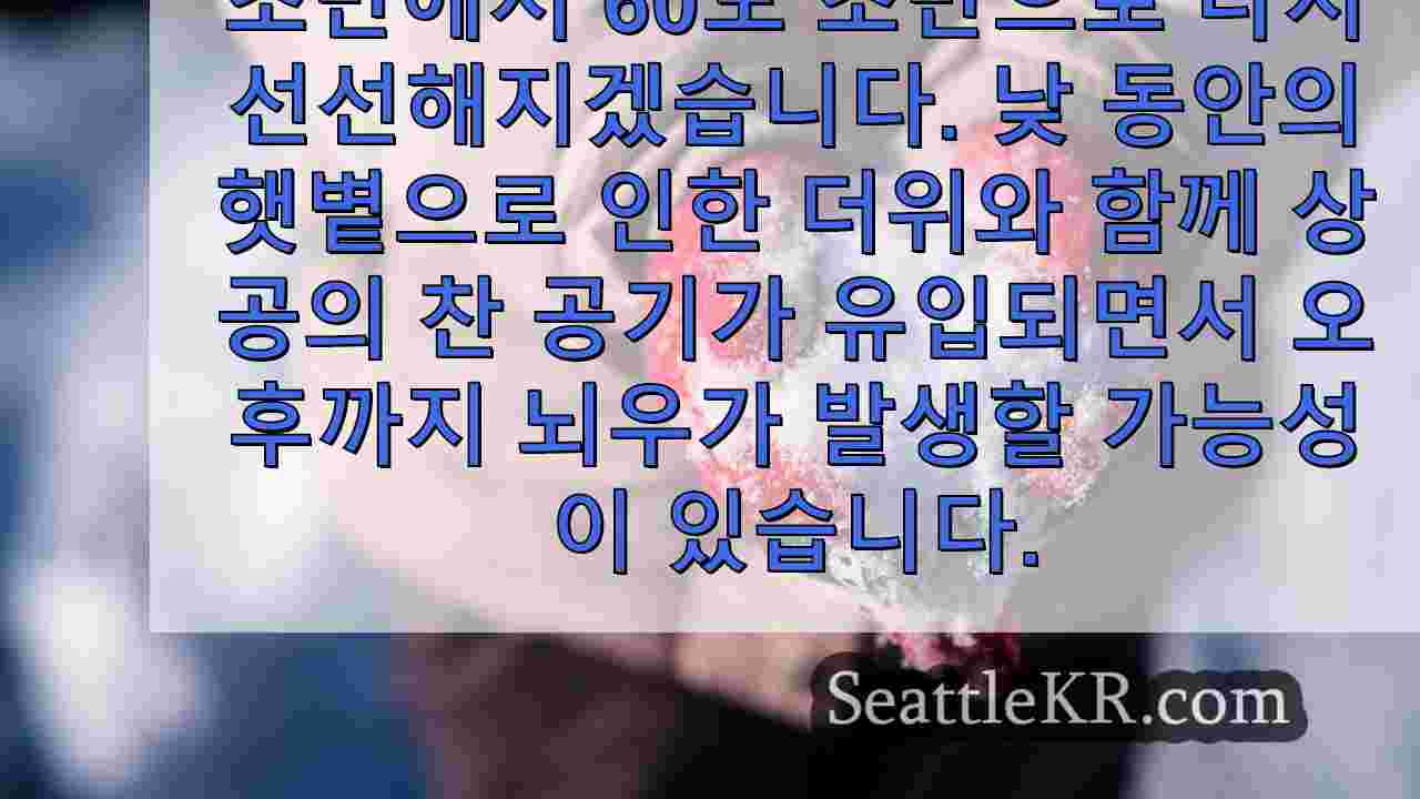 시애틀 뉴스 SeattleKR