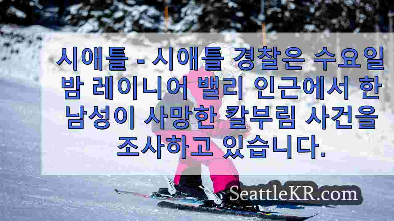 시애틀 뉴스 SeattleKR