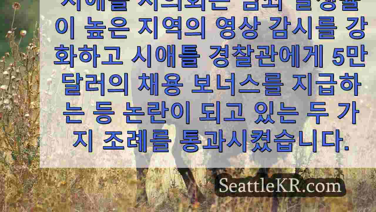 시애틀 뉴스 SeattleKR