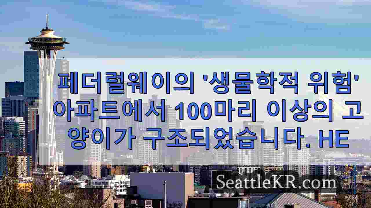 시애틀 뉴스 SeattleKR