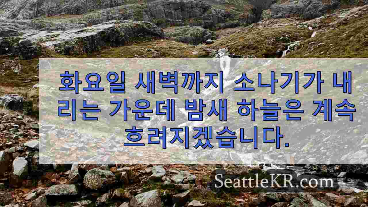 시애틀 뉴스 SeattleKR