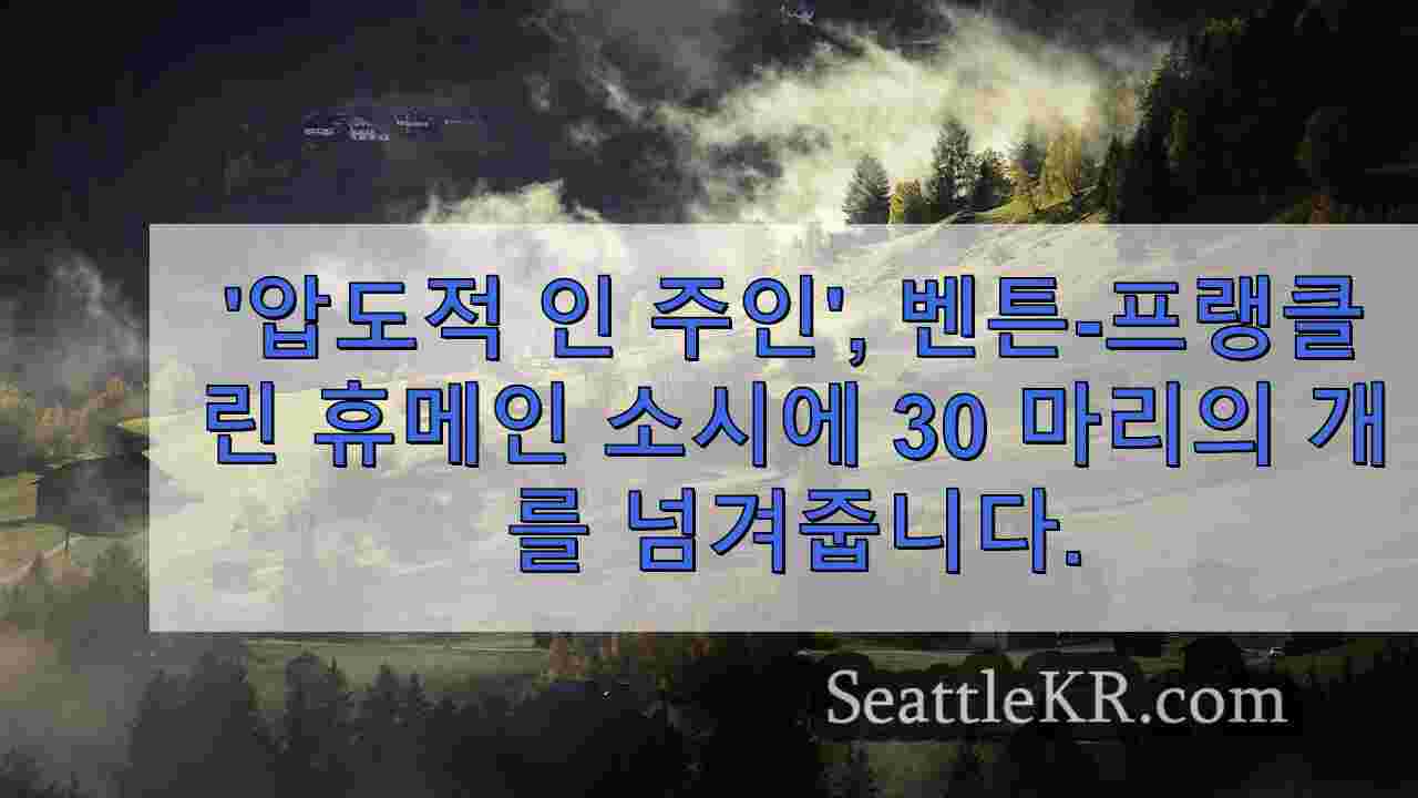 시애틀 뉴스 SeattleKR
