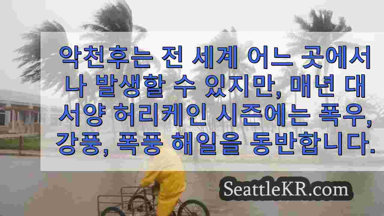 시애틀 뉴스 SeattleKR