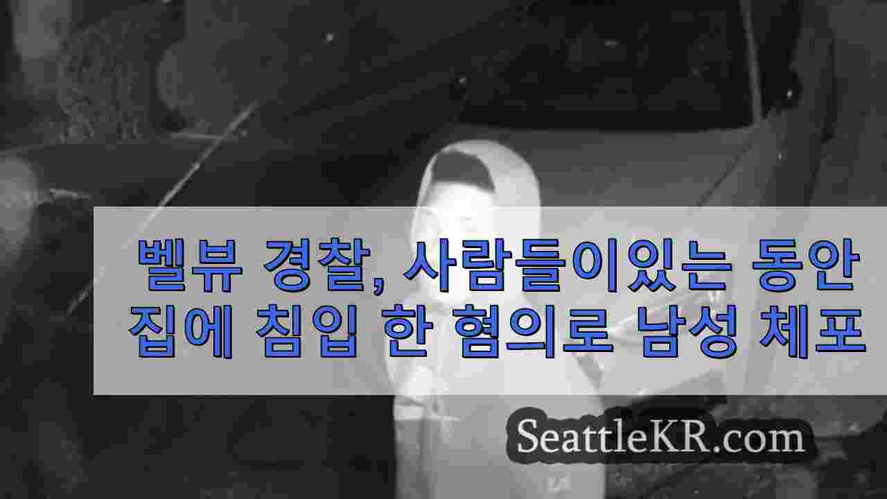 벨뷰 경찰, 사람들이 자고있는 동안 집에 침입 한 혐의로 남성 체포