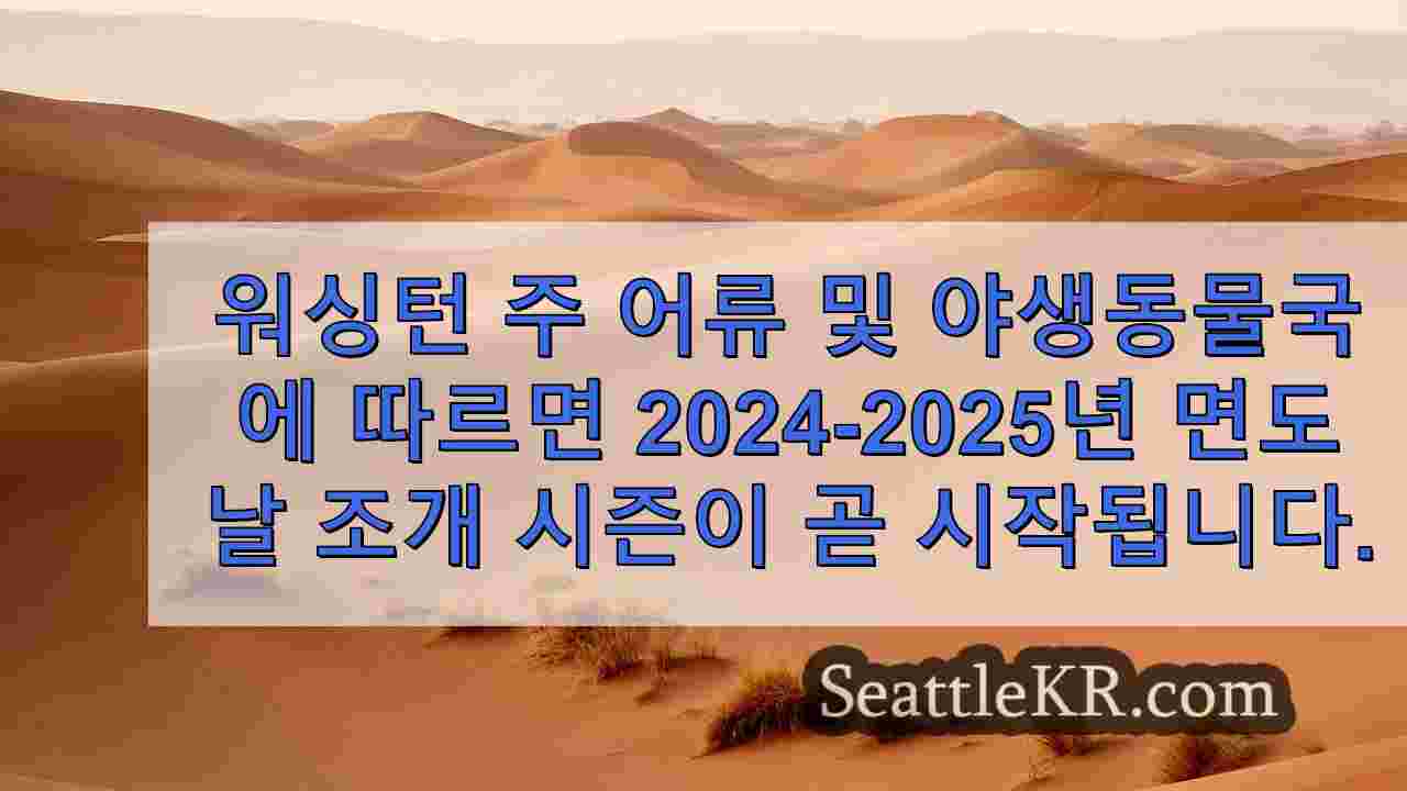 WA 야생 동물 당국, 4 개 해변에서 해안 면도날 조개 발굴 승인