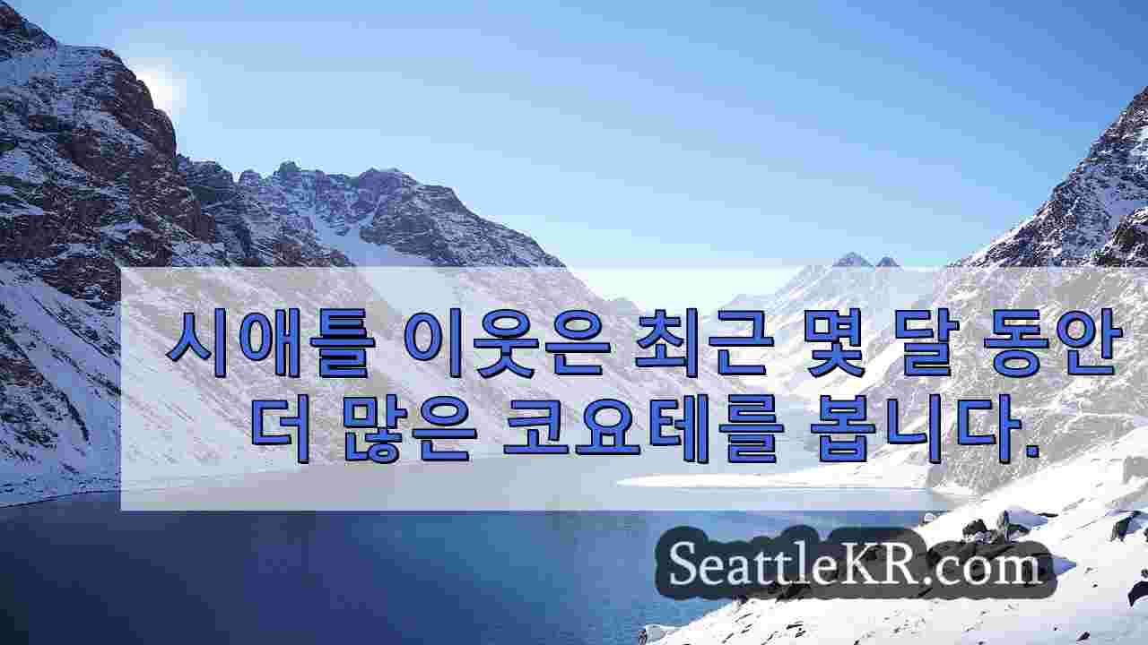 시애틀 뉴스 SeattleKR