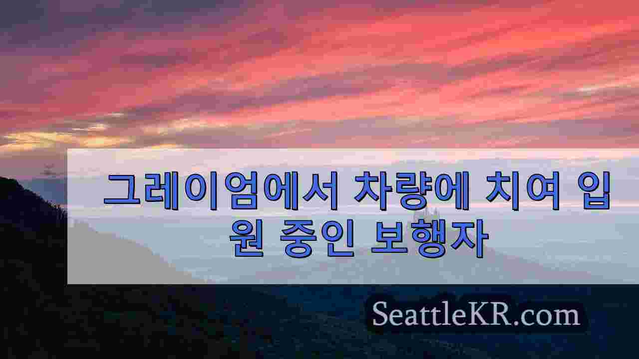 시애틀 뉴스 SeattleKR
