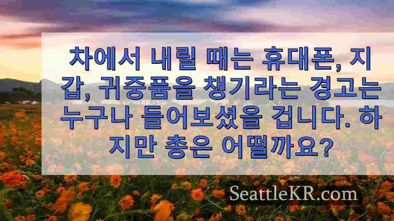 불안한 추세: 렌튼 차량에서 도난당한 총기 수십 정