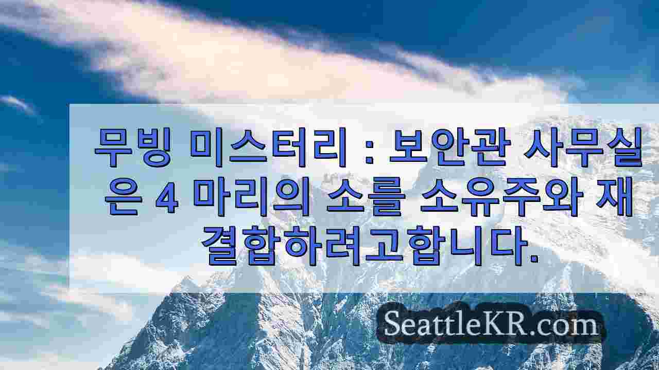 시애틀 뉴스 SeattleKR