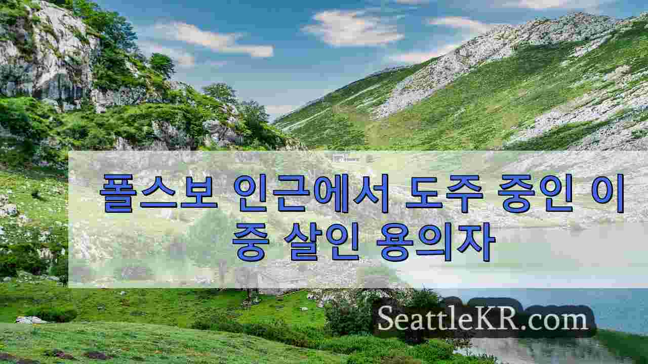시애틀 뉴스 SeattleKR