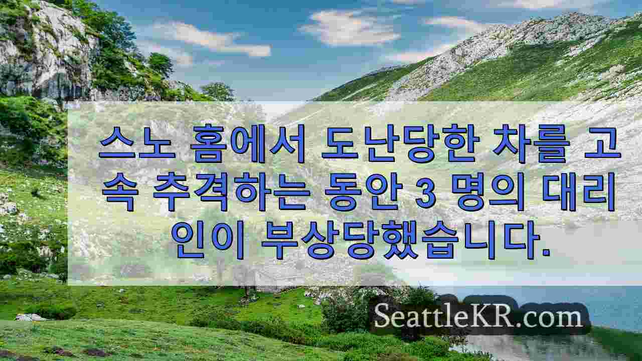 시애틀 뉴스 SeattleKR