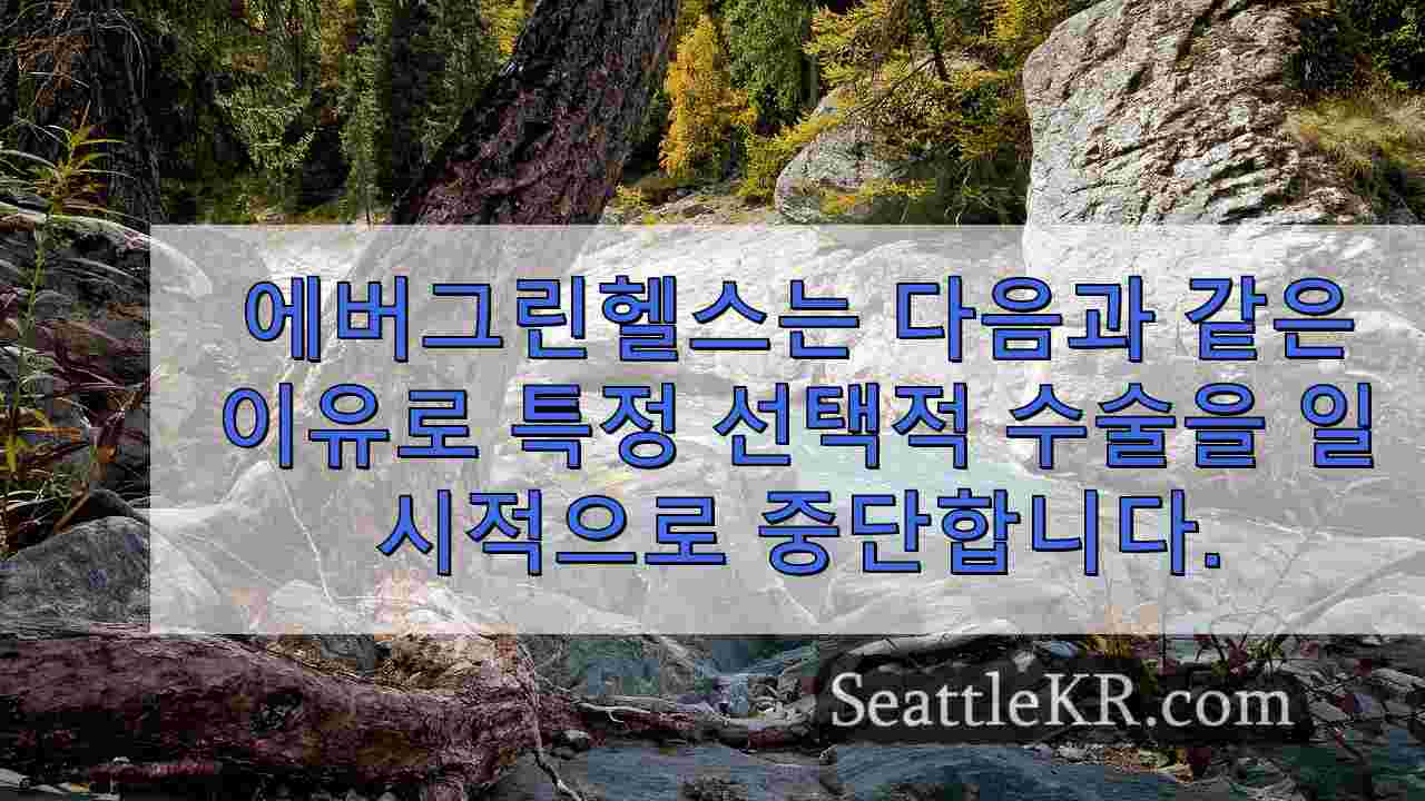 시애틀 뉴스 SeattleKR