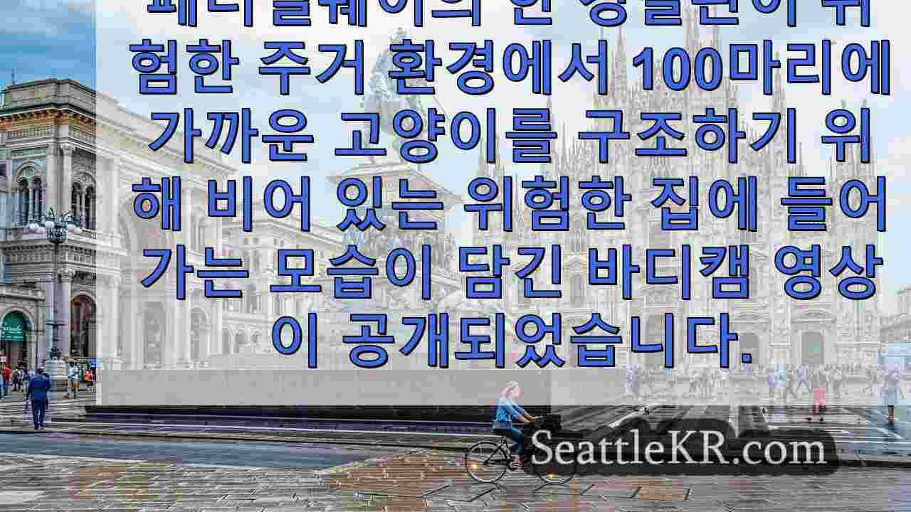 시애틀 뉴스 SeattleKR