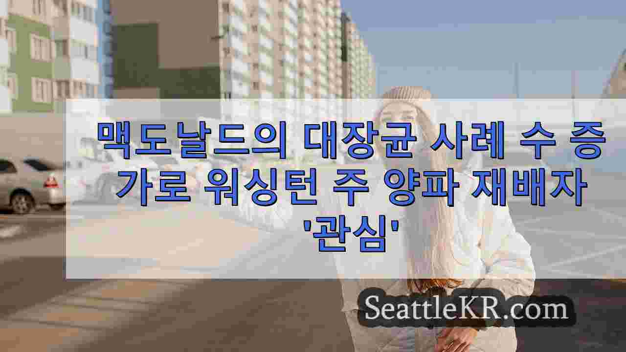 시애틀 뉴스 SeattleKR