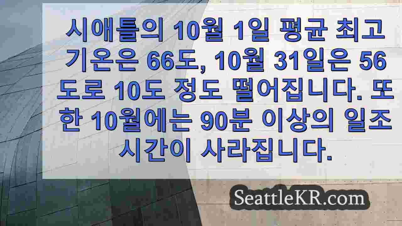 시애틀 뉴스 SeattleKR