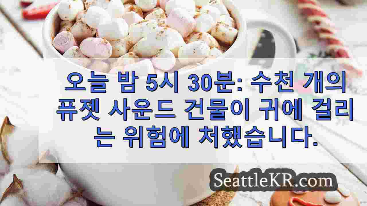 시애틀 뉴스 SeattleKR