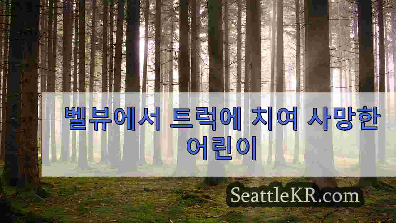 시애틀 뉴스 SeattleKR