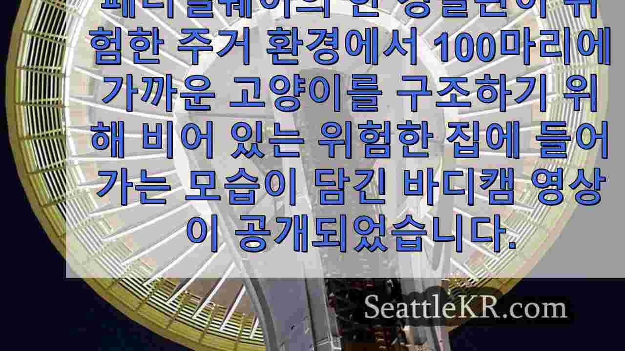 비디오: 워싱턴의 버려진 집에서 구조된 100마리에 가까운 고양이들