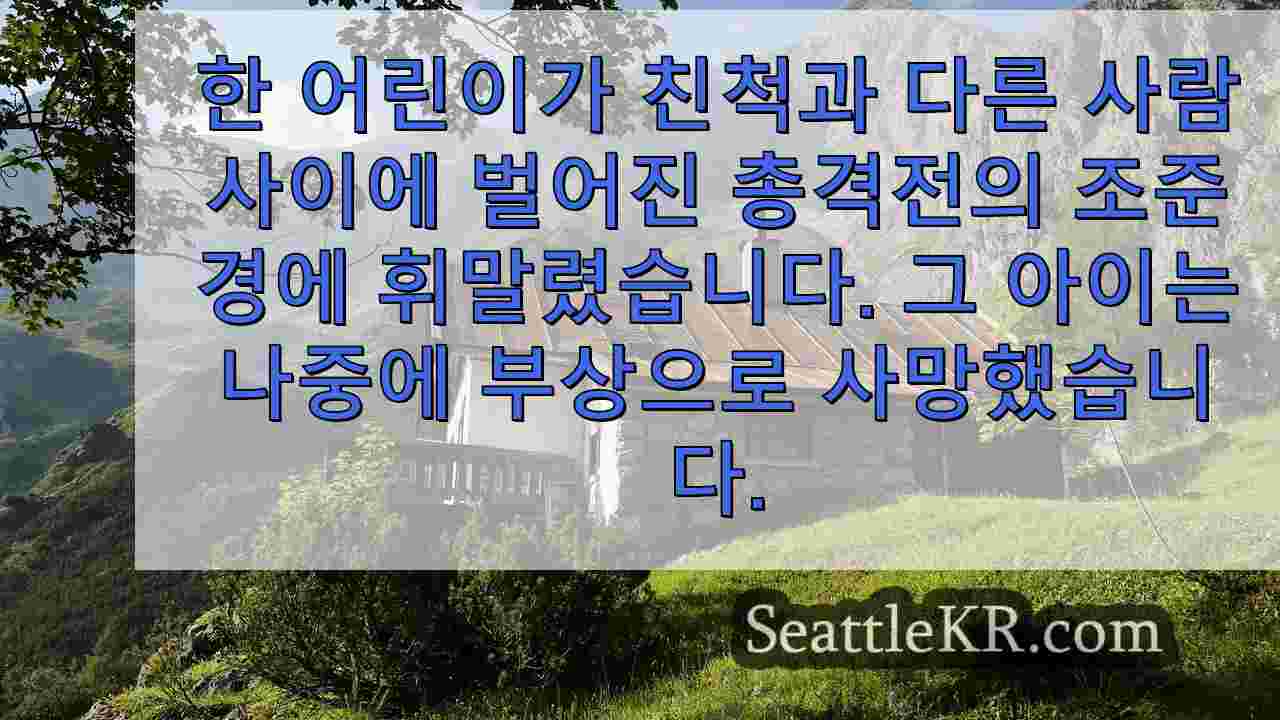 시애틀 뉴스 SeattleKR