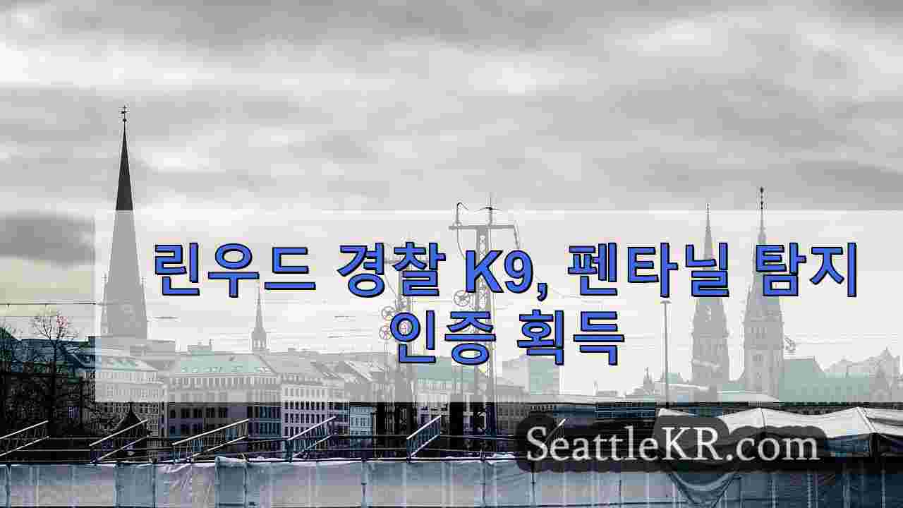 시애틀 뉴스 SeattleKR